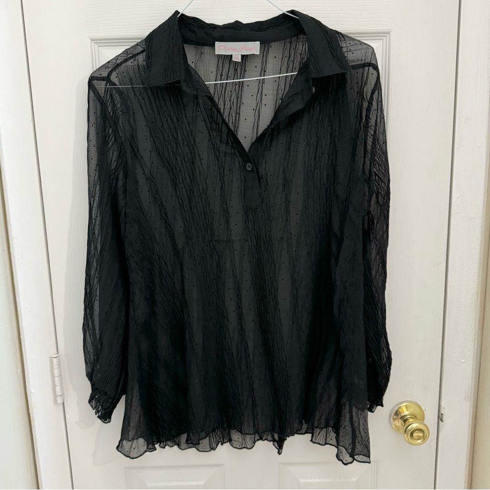 Pretty Angel Y2K Romantic Sheer Button Up Blouse Size Small Black Artsy Girly